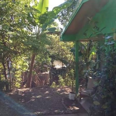 Casa Flor De Annia ~ Cozy 2 Bdrm On The River Sierpe ~ Walkable To Town Vila Exterior foto