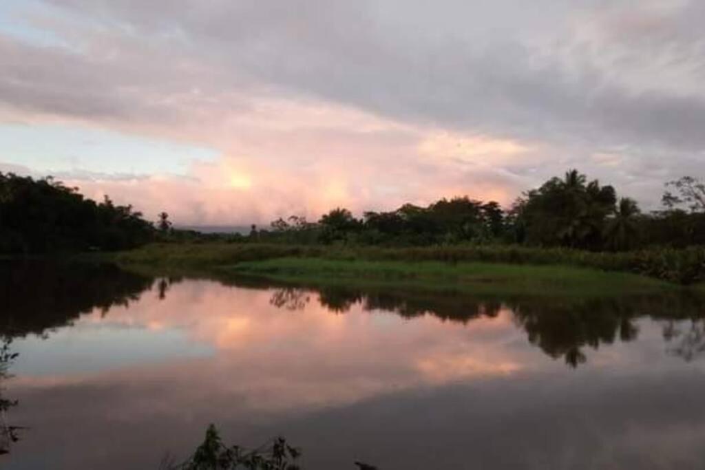 Casa Flor De Annia ~ Cozy 2 Bdrm On The River Sierpe ~ Walkable To Town Vila Exterior foto